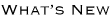 �ŐV���